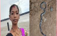 देलनवाडी येथील महिलेला गोवर्धन पूजेच्या दिवशी  सापाचा दंश