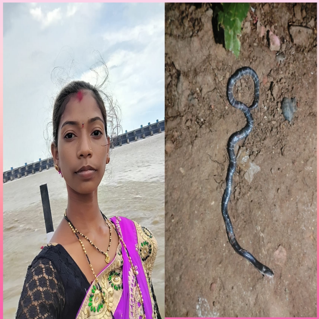 देलनवाडी येथील महिलेला गोवर्धन पूजेच्या दिवशी  सापाचा दंश